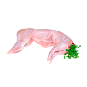 comprar-conejo-entero-fresco